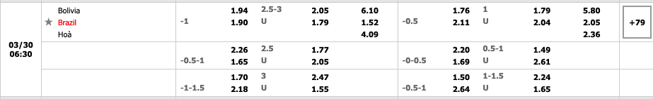 Bolivia vs Brazil 